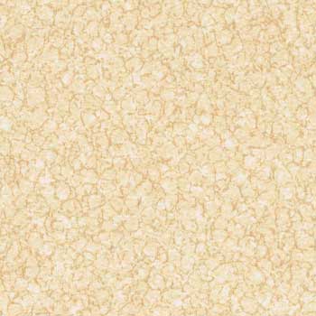 潔福吶認(rèn)FIRST加強(qiáng)系列-潔福pvc地板