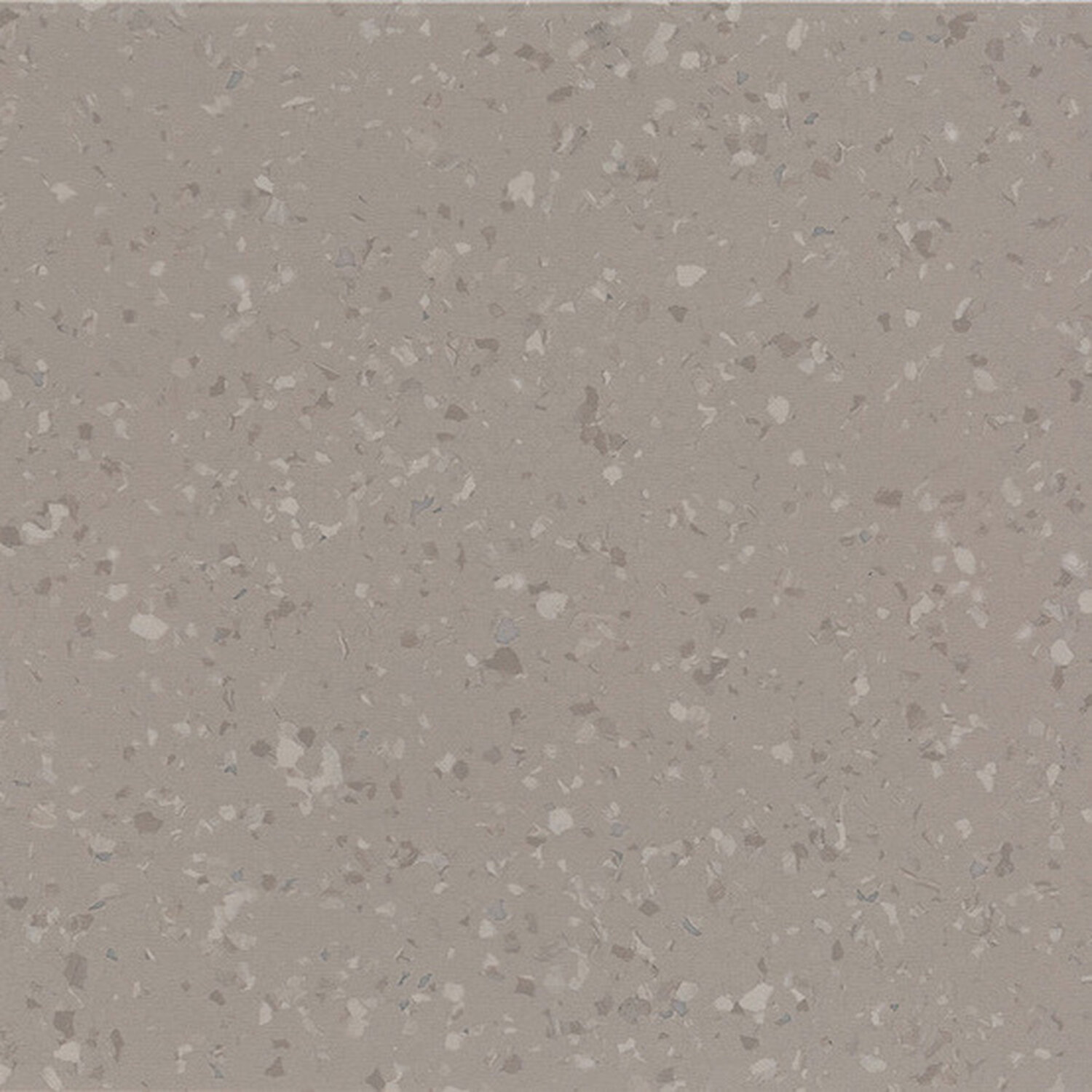 0155 CHOCOLATE BROWN