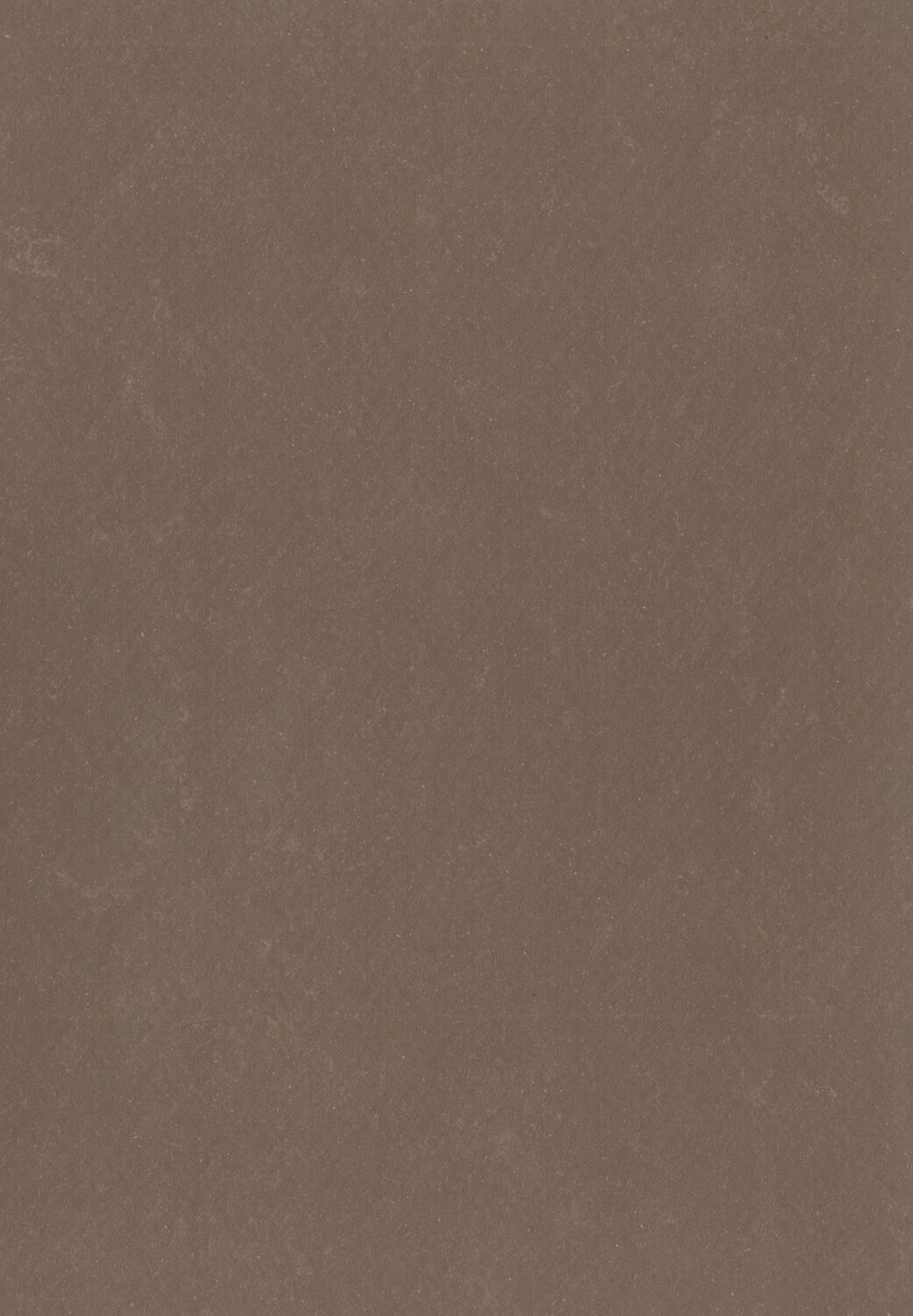 0571 Tree Bark Brown